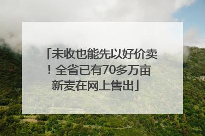 未收也能先以好价卖！全省已有70多万亩新麦在网上售出