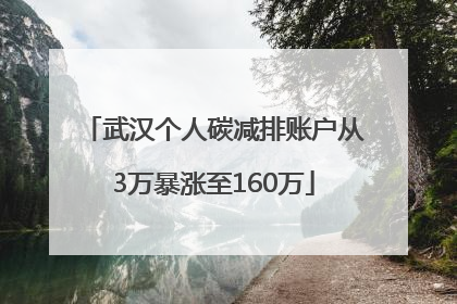 武汉个人碳减排账户从3万暴涨至160万