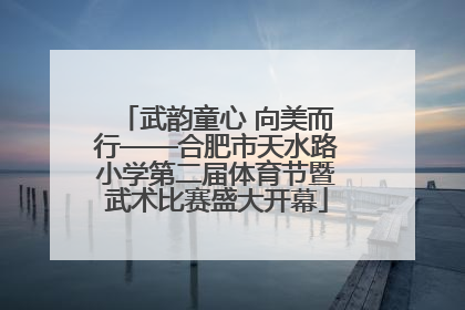武韵童心 向美而行——合肥市天水路小学第二届体育节暨武术比赛盛大开幕