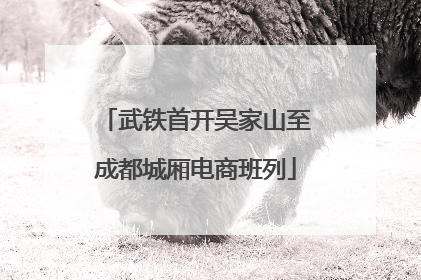 武铁首开吴家山至成都城厢电商班列