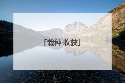 栽种·收获