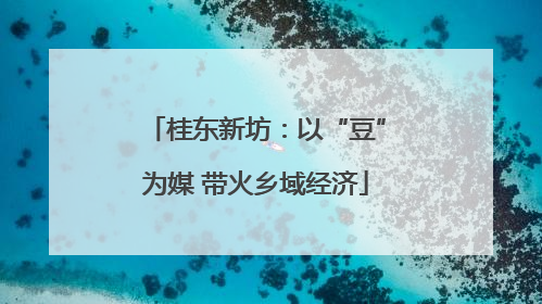 桂东新坊：以“豆”为媒 带火乡域经济