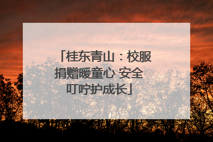 桂东青山：校服捐赠暖童心 安全叮咛护成长