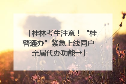 桂林考生注意！“桂警通办”紧急上线同户亲属代办功能→