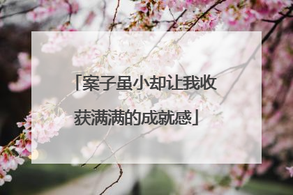 案子虽小却让我收获满满的成就感