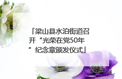 梁山县水泊街道召开“光荣在党50年”纪念章颁发仪式
