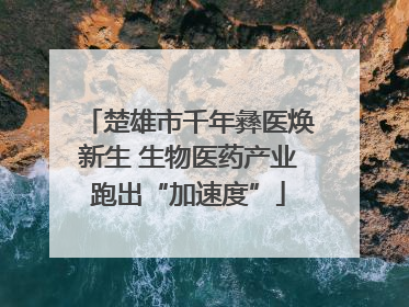 楚雄市千年彝医焕新生 生物医药产业跑出“加速度”