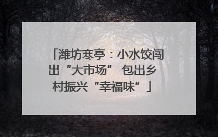 潍坊寒亭：小水饺闯出“大市场” 包出乡村振兴“幸福味”