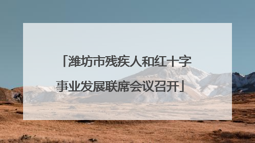 潍坊市残疾人和红十字事业发展联席会议召开