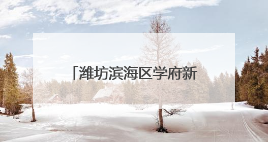 潍坊滨海区学府新城社区：红色引领 强基赋能 共筑和美“同心圆”