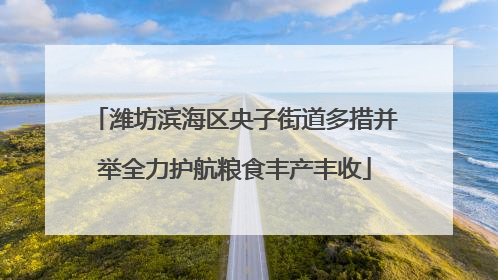 潍坊滨海区央子街道多措并举全力护航粮食丰产丰收