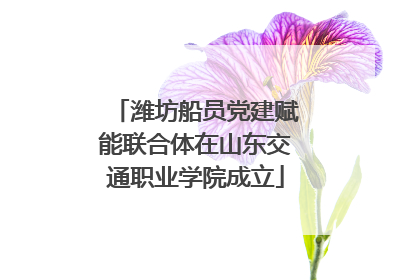 潍坊船员党建赋能联合体在山东交通职业学院成立