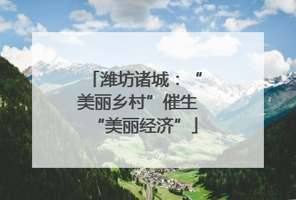 潍坊诸城：“美丽乡村”催生“美丽经济”
