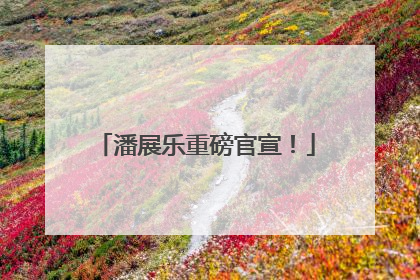 潘展乐重磅官宣！