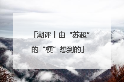潮评丨由“苏超”的“梗”想到的