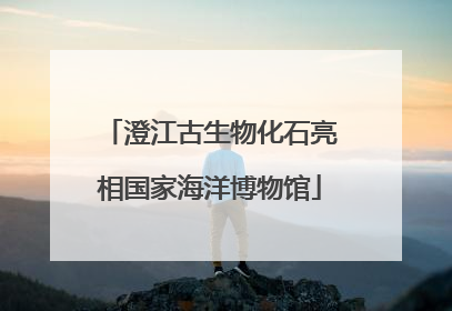 澄江古生物化石亮相国家海洋博物馆