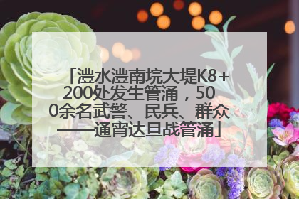 澧水澧南垸大堤K8+200处发生管涌，500余名武警、民兵、群众——通宵达旦战管涌