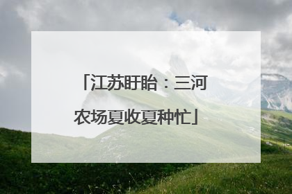 江苏盱眙：三河农场夏收夏种忙