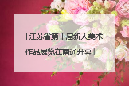 江苏省第十届新人美术作品展览在南通开幕