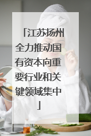 江苏扬州全力推动国有资本向重要行业和关键领域集中