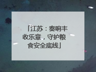 江苏：奏响丰收乐章，守护粮食安全底线