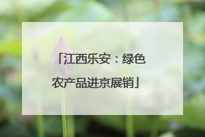 江西乐安：绿色农产品进京展销