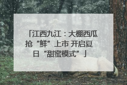 江西九江：大棚西瓜抢“鲜”上市 开启夏日“甜蜜模式”