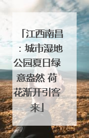 江西南昌：城市湿地公园夏日绿意盎然 荷花渐开引客来