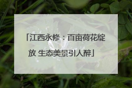 江西永修：百亩荷花绽放 生态美景引人醉