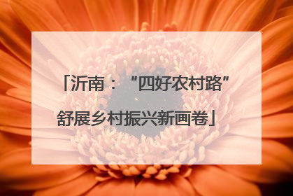 沂南：“四好农村路”舒展乡村振兴新画卷