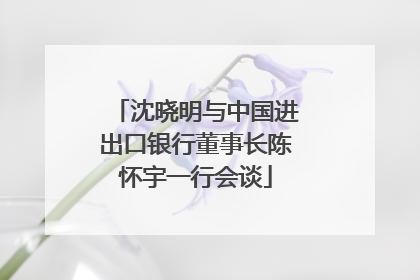 沈晓明与中国进出口银行董事长陈怀宇一行会谈