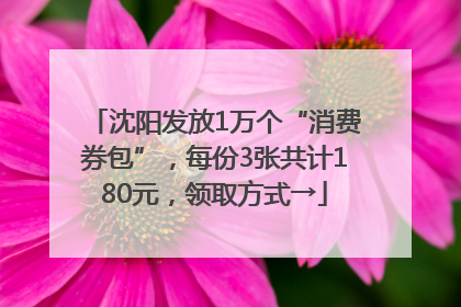 沈阳发放1万个“消费券包”，每份3张共计180元，领取方式→