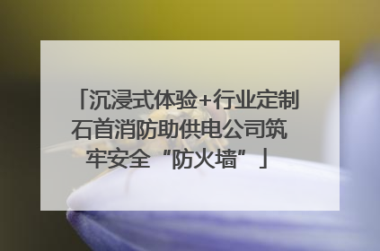 沉浸式体验+行业定制 石首消防助供电公司筑牢安全“防火墙”