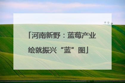 河南新野：蓝莓产业绘就振兴“蓝”图