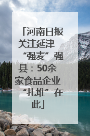 河南日报关注延津 “强麦”强县：50余家食品企业“扎堆”在此