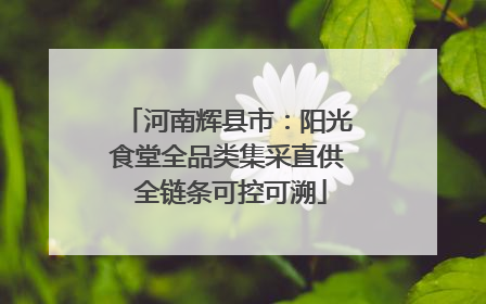 河南辉县市：阳光食堂全品类集采直供 全链条可控可溯