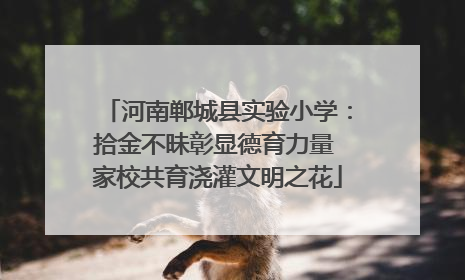 河南郸城县实验小学：拾金不昧彰显德育力量 家校共育浇灌文明之花