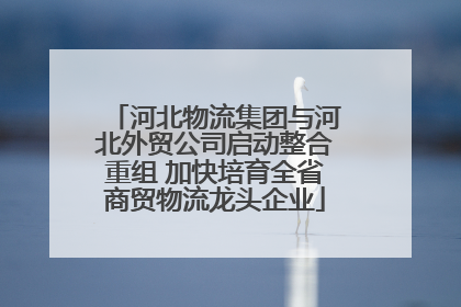 河北物流集团与河北外贸公司启动整合重组 加快培育全省商贸物流龙头企业