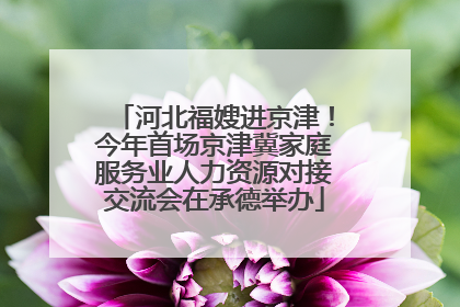河北福嫂进京津！今年首场京津冀家庭服务业人力资源对接交流会在承德举办