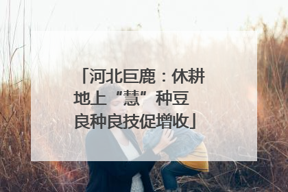 河北巨鹿：休耕地上“慧”种豆 良种良技促增收