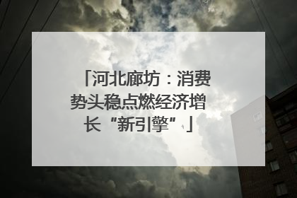河北廊坊：消费势头稳点燃经济增长“新引擎”