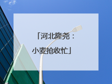 河北隆尧：小麦抢收忙