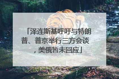泽连斯基呼吁与特朗普、普京举行三方会谈，美俄暂未回应