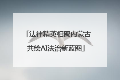 法律精英相聚内蒙古 共绘AI法治新蓝图