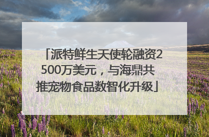 派特鲜生天使轮融资2500万美元，与海鼎共推宠物食品数智化升级