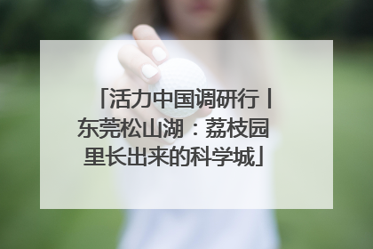 活力中国调研行丨东莞松山湖：荔枝园里长出来的科学城