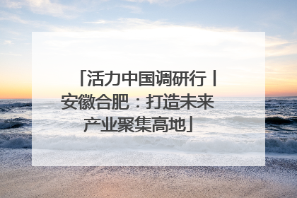 活力中国调研行丨安徽合肥：打造未来产业聚集高地