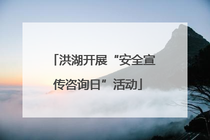 洪湖开展“安全宣传咨询日”活动