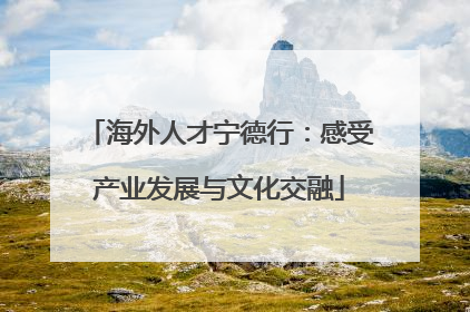 海外人才宁德行：感受产业发展与文化交融