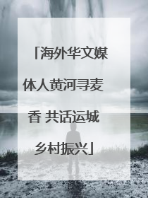海外华文媒体人黄河寻麦香 共话运城乡村振兴